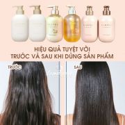 Bộ dầu gội xả Clayge Nhật Bản Care & Spa cao cấp 500ml x 2